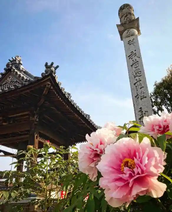 真言宗 善通寺派 薬王寺のその他建物