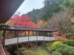 久安寺(大阪府)