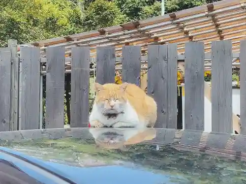 菊田神社の動物