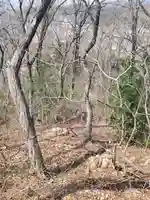 水道山神社(仮称)(栃木県)