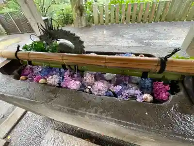 楽法寺(雨引観音)の手水舎