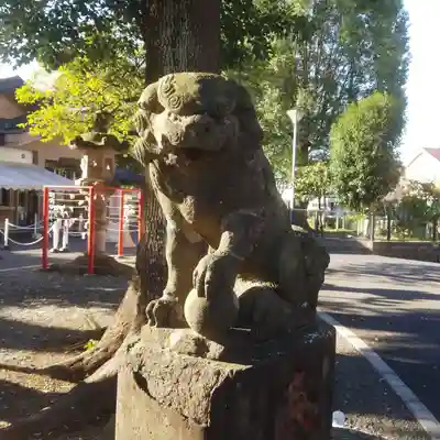 町田天満宮の狛犬