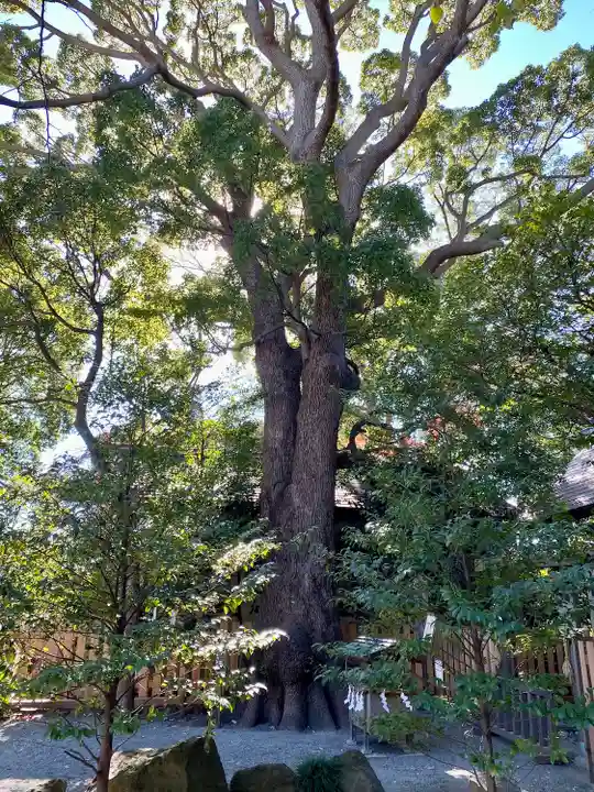 伊勢山皇大神宮(神奈川県)
