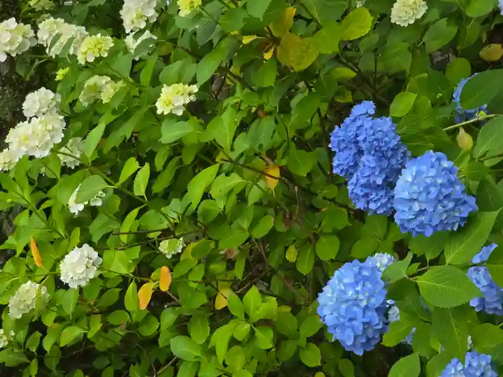 明寿院(滋賀県)