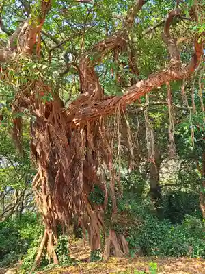住吉神社(長崎県)
