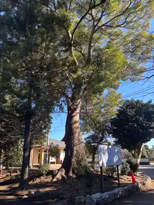 香取神社(千葉県)