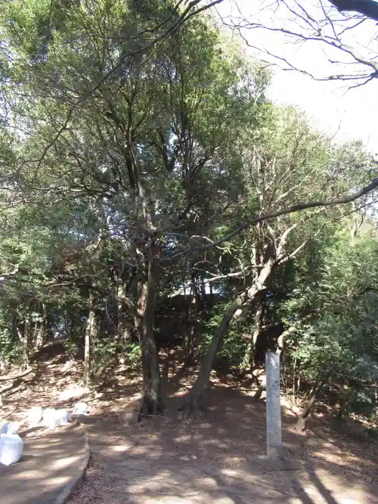 春日部八幡神社(埼玉県)