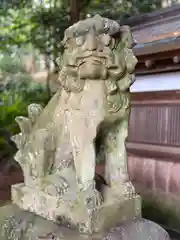 往馬坐伊古麻都比古神社の狛犬