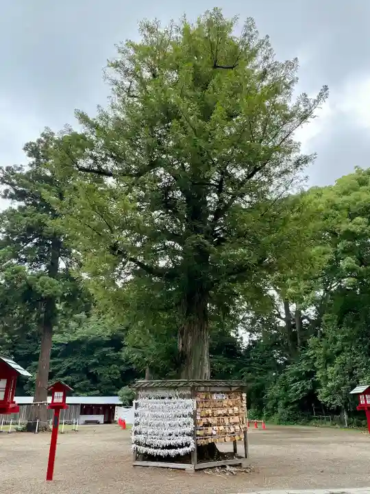 鷲宮神社のその他建物