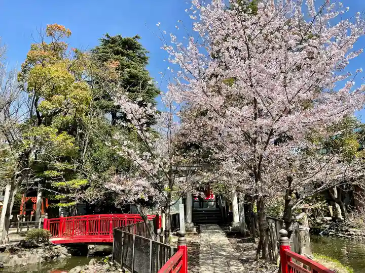 七渡神社(七渡弁天社)の自然