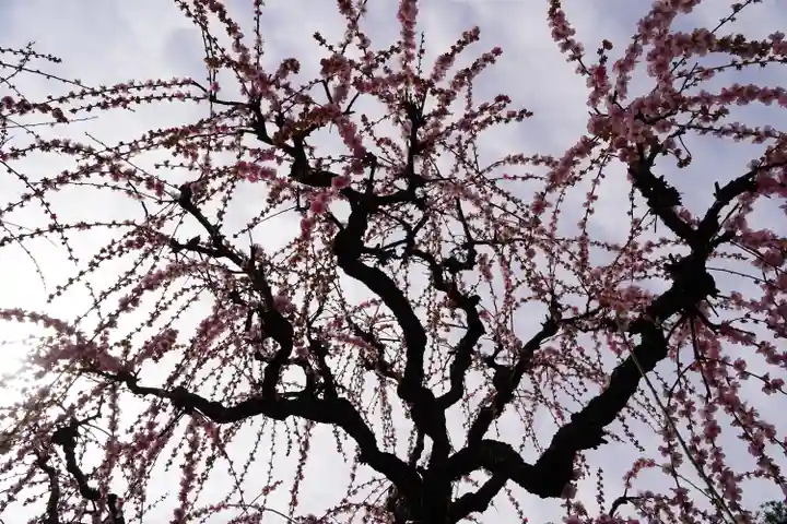 結城神社(三重県)