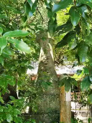 木梨神社のその他建物