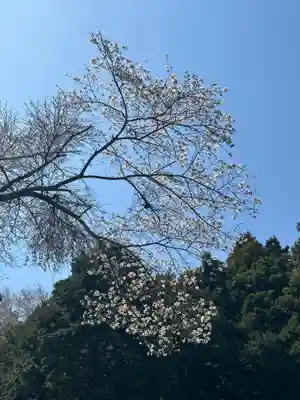 御嶽社(神奈川県)