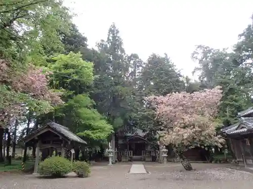 川田神社の建物その他