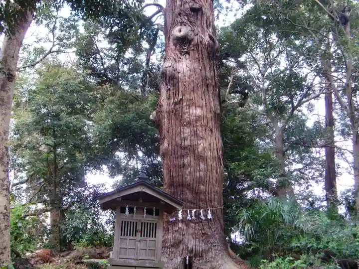 日吉神社の自然