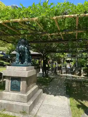 了徳院の{uncategorized: "未分類", other: "その他", undefined: "問題あり", building: "その他建物", grave: "お墓", sacred_gate: "鳥居", guardian: "狛犬", statue: "像", buddha: "仏像", history: "歴史", nature: "自然", garden: "庭園", animal: "動物", pagoda: "塔", temizu: "手水舎", mountain_gate: "山門・神門", sanctuary: "本殿・本堂", subordinate: "末社・摂社", art: "芸術", scenery: "景色", jizo: "地蔵", ema: "絵馬", goshuin: "御朱印", omikuji: "おみくじ", items: "授与品その他", amulet: "お守り", goshuincho: "御朱印帳", eats: "食事", festival: "お祭り", votive_dance: "神楽", shichigosan: "七五三参", wedding: "結婚式", experience: "体験その他", initially: "初詣", around: "周辺", anti_infection: "感染症対策"}
