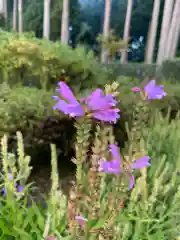 霊泉寺の自然