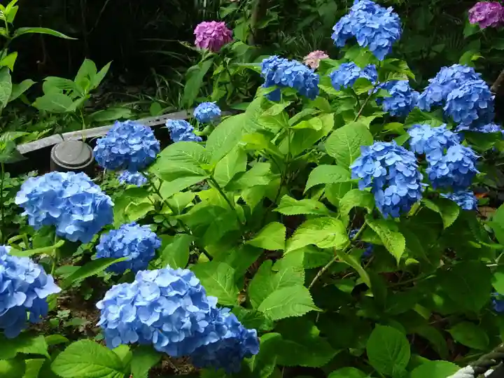 長谷寺(神奈川県)