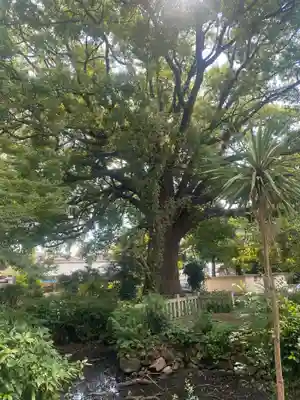 教興寺(大阪府)