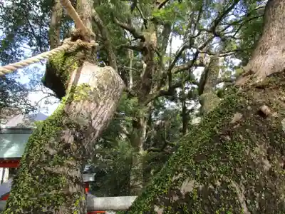 熊野那智大社(和歌山県)