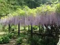 妙福寺(千葉県)