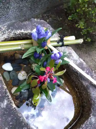 善長寺(京都府)