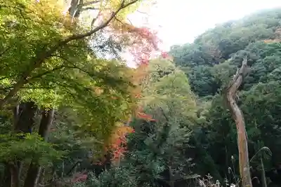 神峯山寺(大阪府)