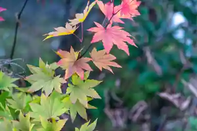 飯森神社奥社(長野県)