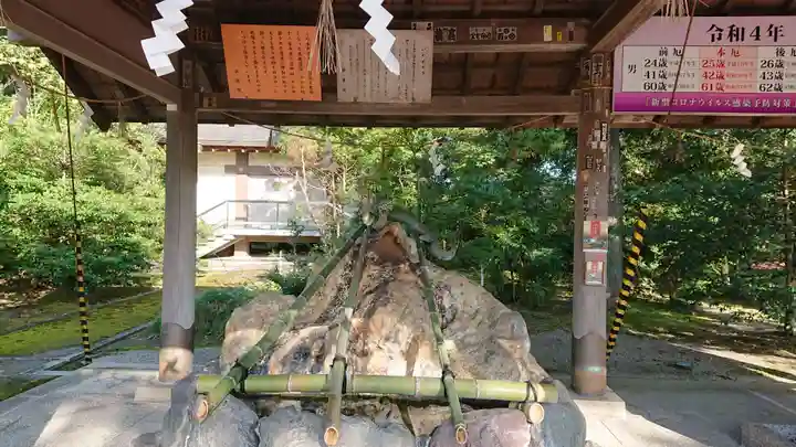 越中一宮 髙瀬神社の手水舎