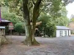 村檜神社の自然