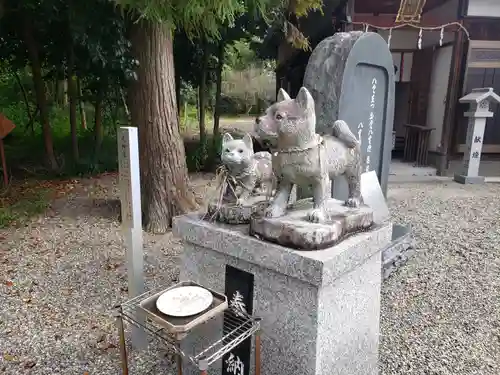 老杉神社の狛犬