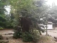 横山神社(滋賀県)