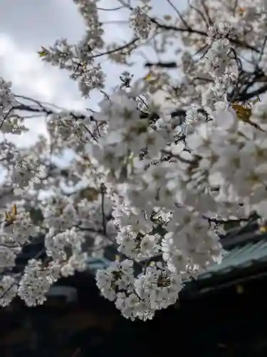金王八幡宮(東京都)