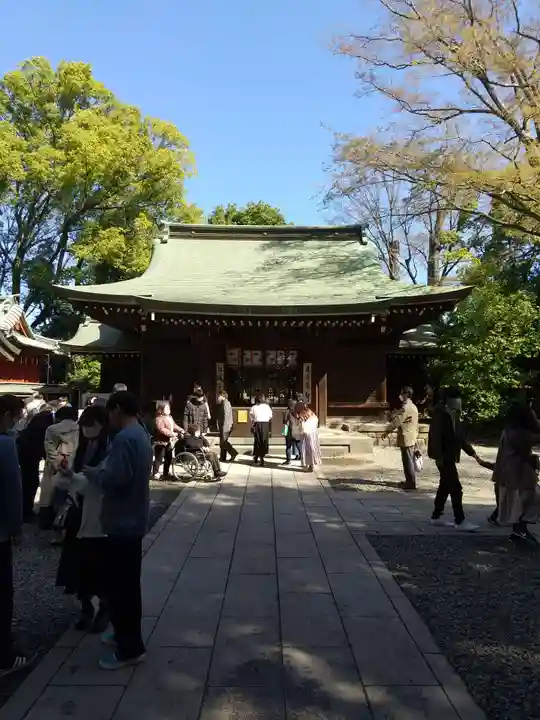 川越氷川神社(埼玉県)