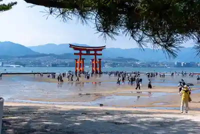 厳島神社(広島県)