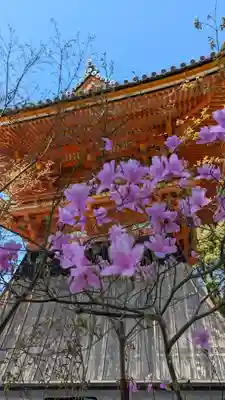 仁和寺(京都府)