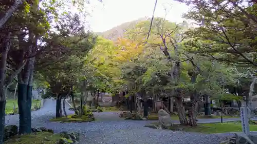 国泰寺の自然