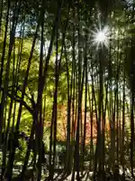 回春院(神奈川県)