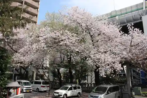 くまくま神社(導きの社 熊野町熊野神社)の自然