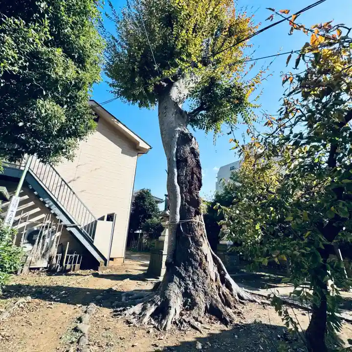 菅原神社(埼玉県)
