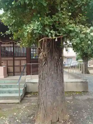 神明神社(埼玉県)