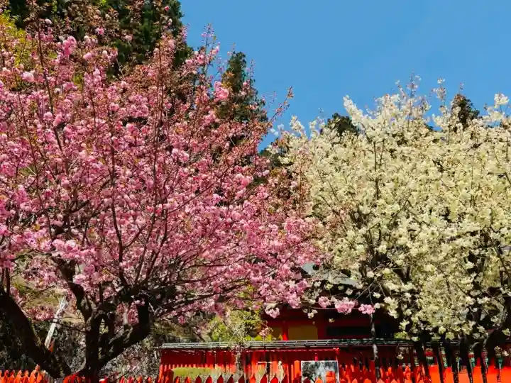 金櫻神社の{uncategorized: "未分類", other: "その他", undefined: "問題あり", building: "その他建物", grave: "お墓", sacred_gate: "鳥居", guardian: "狛犬", statue: "像", buddha: "仏像", history: "歴史", nature: "自然", garden: "庭園", animal: "動物", pagoda: "塔", temizu: "手水舎", mountain_gate: "山門・神門", sanctuary: "本殿・本堂", subordinate: "末社・摂社", art: "芸術", scenery: "景色", jizo: "地蔵", ema: "絵馬", goshuin: "御朱印", omikuji: "おみくじ", items: "授与品その他", amulet: "お守り", goshuincho: "御朱印帳", eats: "食事", festival: "お祭り", votive_dance: "神楽", shichigosan: "七五三参", wedding: "結婚式", experience: "体験その他", initially: "初詣", around: "周辺", anti_infection: "感染症対策"}