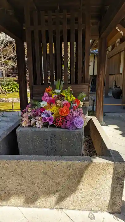 勝林寺(京都府)