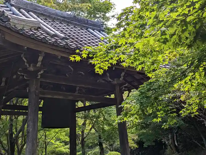 勝持寺(花の寺)(京都府)