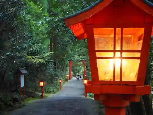 箱根神社の自然