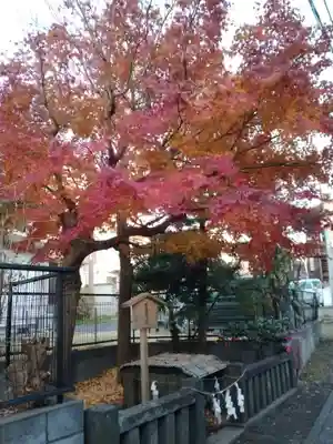 由比若宮(元鶴岡八幡宮)の自然