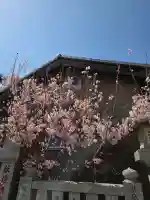 成田山川越別院の{uncategorized: "未分類", other: "その他", undefined: "問題あり", building: "その他建物", grave: "お墓", sacred_gate: "鳥居", guardian: "狛犬", statue: "像", buddha: "仏像", history: "歴史", nature: "自然", garden: "庭園", animal: "動物", pagoda: "塔", temizu: "手水舎", mountain_gate: "山門・神門", sanctuary: "本殿・本堂", subordinate: "末社・摂社", art: "芸術", scenery: "景色", jizo: "地蔵", ema: "絵馬", goshuin: "御朱印", omikuji: "おみくじ", items: "授与品その他", amulet: "お守り", goshuincho: "御朱印帳", eats: "食事", festival: "お祭り", votive_dance: "神楽", shichigosan: "七五三参", wedding: "結婚式", experience: "体験その他", initially: "初詣", around: "周辺", anti_infection: "感染症対策"}