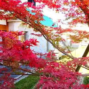 寿量山 速成寺の庭園(2019年12月01日(日) 18時37分31秒投稿)