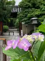 大報恩寺(千本釈迦堂)(京都府)