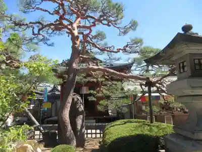 善光寺大本願(長野県)